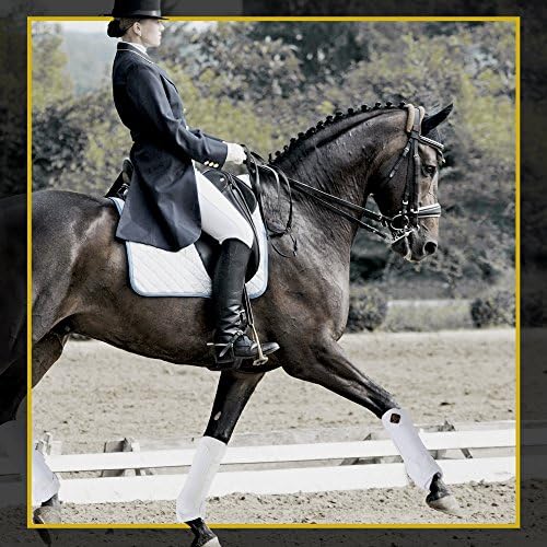 Kavallerie Pro -K Podrška za konje - maksimalna zaštita i rehabilitacija od ozljeda i naprezanja regije fleksorske tetive