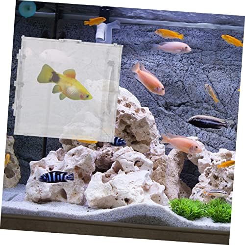 Ipetboom 2 komada Kutija Inkubacija akvarij Betta Fish Tank Аквариумная izolaciona kutija, Torbica za uzgoj ribe Uzgajivač