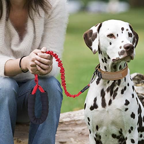 Pawday Tactical Dog Collar & Nylon Podesivi K9 ovratnik s ručicom, metalna kopča s teškim izdanjima i jakim psećim uzicama