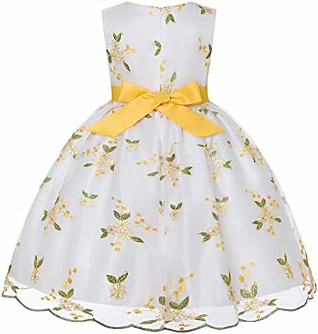 Izvezena haljina od komota mreža princeza tutu djevojke haljine djevojčice ljeto vezene četverogodišnje djevojčice rođendanske