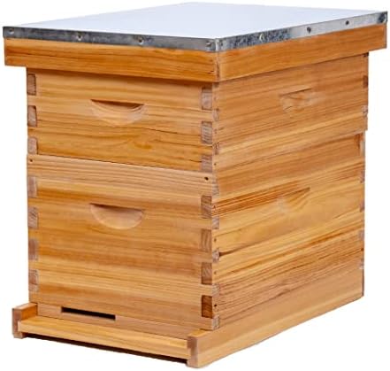 Medeno jezero 8-okvir pčelinja košnica 1 BOOD BOUHIVE BOX i 1 Srednja pčelinja košnica Super kutija, košnice za pčele i zalihe