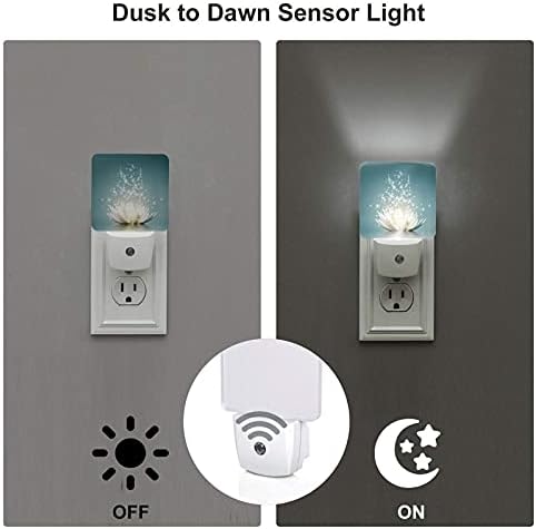 Noćno svjetlo za spavaću sobu kuhinja otmjeni cvijet hodnika stubište plug-in LED sa svjetlosnim senzorom svjetiljka 2 paket