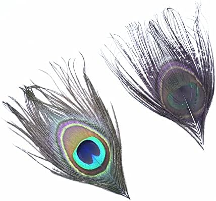 10 kom/lot prirodno rijetko paunovo perje perje za oči za ukrašavanje rukotvorina ukras od perja fazana karnevalski dodaci