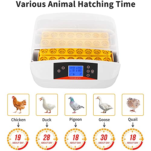 Inkubator za 55 jaja, Kućni automatski inkubator za perad na farmi, Stroj za inkubaciju s automatskim okretanjem, kontrolom