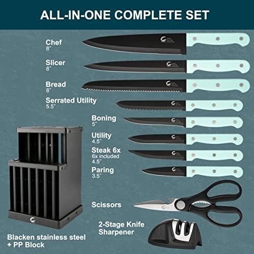 Set kuhinjskih noževa od 16 komada, koji se mogu prati u perilici posuđa s čeličnim blokom, uključuje noževe s ručkama za